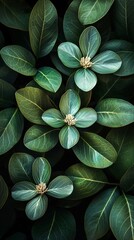Poster - During spring, a garden is adorned with a green leaf background, nature's canvas