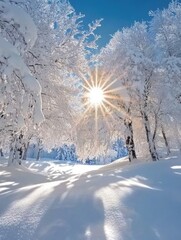 Wall Mural - Snowy forest with sunlight