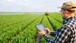 © SMURFFYx - Farmer Using Tablet in Field: A farmer uses a tablet computer while surveying his lush green field, showcasing modern technology in agriculture. A tractor is visible in the background.