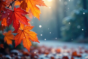 Wall Mural - Snowflakes gently falling on frosty autumn leaves, nature, fall, foliage