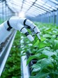 © AI Photo Stock - Robotic Arm Tending Greenhouse Plants - A robotic arm gently interacts with thriving plants inside a modern greenhouse, showcasing technological advancements in agriculture