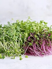 Wall Mural - Pile of fresh, colorful microgreens for salads or snacking.