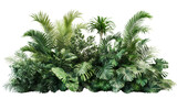 Tropical plants and trees growing in a lush green garden with transparent background