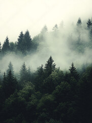 Wall Mural - misty landscape with mountains and dark moody fir forest in hipster vintage retro style