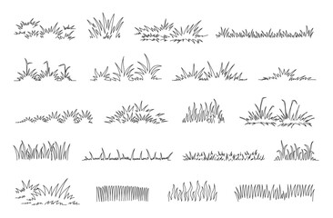 Fototapete - Linear grass doodle. Hand drawn lawn tufts, sketch greenery lines and natural fresh meadow decorative borders. Garden grass patches isolated vector set.