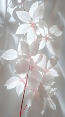 Poster - delicate white leaves with pink stem in soft light minimalist botanical art still life