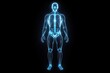 © xoan - Human anatomy, skeletal system, digital rendering, dark background, medical illustration