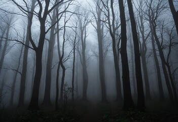  Spooky Woods