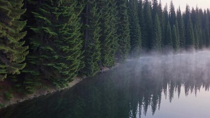 Aufkleber - Morning fog blankets a serene lake surrounded by towering pine trees in a tranquil forest setting