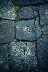 Poster - Old Cobblestone Texture with Green Grass Growing Through Cracks Urban Detail
