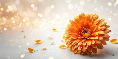 Poster - A single vibrant orange flower with scattered petals on a soft, light background, illuminated by a warm glow.
