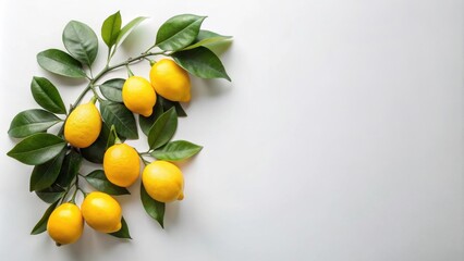 Aufkleber - A vibrant branch of ripe lemons with lush green leaves, arranged on a clean white background, offering a fresh and zesty visual