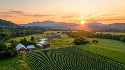 Poster - Serene Sunset Over Vast Green Farm Landscape with Mountains