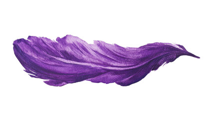 Poster - Purple brush stroke painting on transparent background