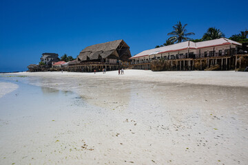 Wall Mural - View of the beach of Zanzibar island