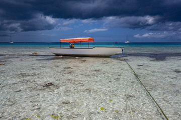 Wall Mural - View of the beach of Zanzibar island