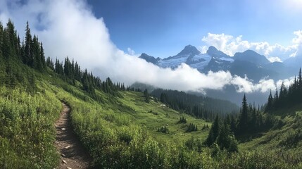 Wall Mural - Mountain trail with rolling clouds over green forested peaks