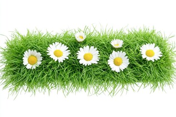 Wall Mural - A group of daisies sitting on a lush green field, perfect for spring and nature-themed photoshoots