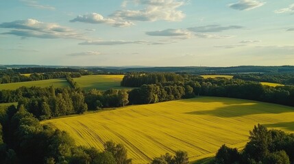 Wall Mural - Panoramic view of yellow fields and lush green forests under a bright summer sky