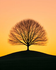 Wall Mural - Lone bare tree stands on hill against vibrant orange sky, suitable for nature or seasonal concepts