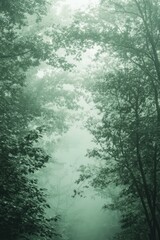  Soft emerald green gradient background, deep forest light mint fade with subtle texture banner, poster header design

