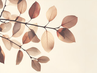 Autumnal Branch: Delicate branch adorned with translucent, russet leaves against a soft, light background. A serene image evoking feelings of tranquility and the beauty of autumn.