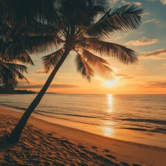 Aufkleber - Sunset over beach with palm trees in tropical paradise by the ocean in a serene evening atmosphere. Generative AI