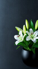 Wall Mural - White Lilies in Black Vase Against Dark Background