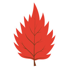 Wall Mural - Red leaf with brown veins for autumn designs. Perfect for fall themed graphics, nature backgrounds, seasonal decorations, and botanical projects