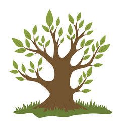 Wall Mural - Tree with green leaves and a brown trunk, suitable for nature themed designs, environmental concepts, or general organic visuals. Forest, outdoors, ecology, natural