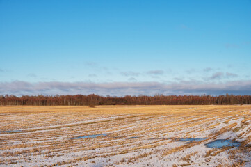 Aerial sunny winter landscape with large field, far forest under blue sky with white clouds. Natural winter background.