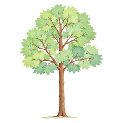 Wall Mural - Illustration of a single tree with vibrant green leaves, isolated on a cut out background.