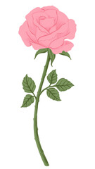 Wall Mural - Pink rose png flower sticker, transparent background