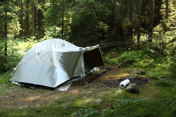 tent in the forest