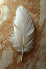 Poster - White feather resting on a marbled surface with intricate patterns and textures