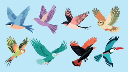 Colorful illustrated birds flying, isolated vector set