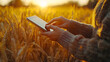 © Галя Дорожинська - Female farmer checks data in wheat field during golden hour. Generative AI.