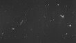 © Clean PNG - Vintage dust texture overlay