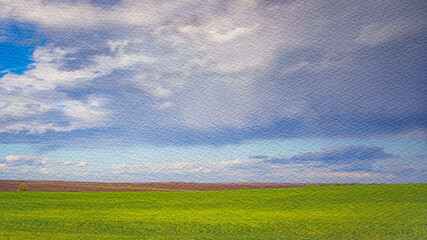 Wall Mural - cloudy sky with a field of green grass