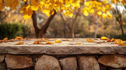 Aufkleber - Autumn leaves on stone background creating space for fall product placement