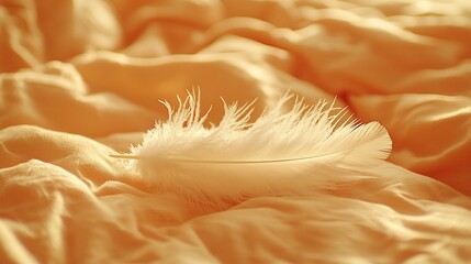 Canvas Print - Soft feather on peach bedding, sunlight. Bedroom decor