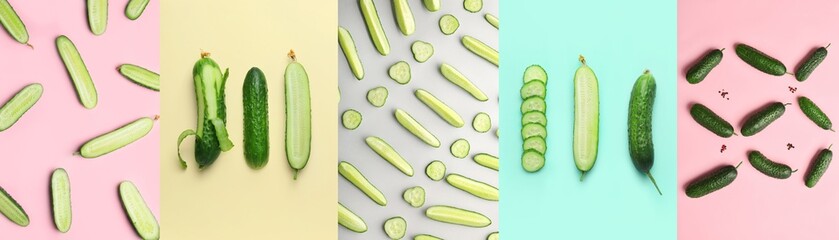 Sticker - Collage of many cucumbers on color background, top view