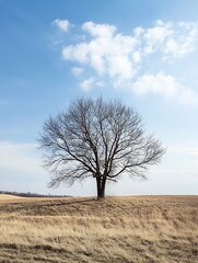 Poster - Lonely Tree in a Distant Field Under a Bright Blue Sky with Fluffy Clouds : Generative AI