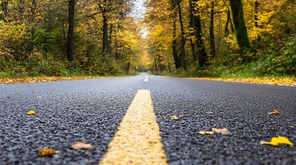Poster - Picturesque Autumn Road with Vibrant Leaves and Rural Landscape : Generative AI