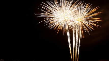 Aufkleber - Brilliant fireworks display lighting up the night sky in dazzling colors and shapes : Generative AI