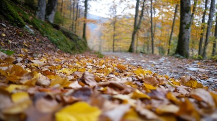 Poster - Scenic Autumn Pathway Covered with Colorful Leaves in Vibrant Forest : Generative AI