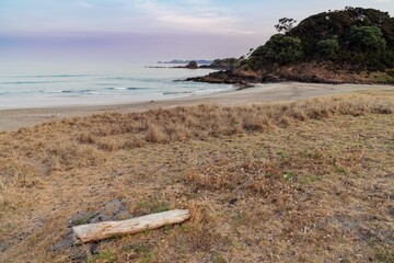 Wall Mural - Tranquil beach scene at dawn. Gentle waves lap the shore, with a driftwood log resting on the sand. Peaceful coastal landscape. Elliot Bay, Rawhiti, Northland, New Zealand