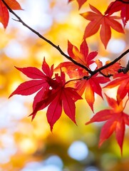Poster - Vibrant Autumn Leaves in Shades of Red and Orange on a Branch Against the Blue Sky : Generative AI