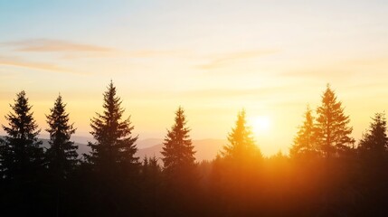 Poster - Stunning sunset view behind silhouette of evergreen trees casting beautiful shadows over horizon : Generative AI