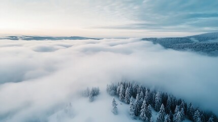 Poster - Stunning Aerial View of Misty Forest Covered in Snow on a Cold Winter Day : Generative AI